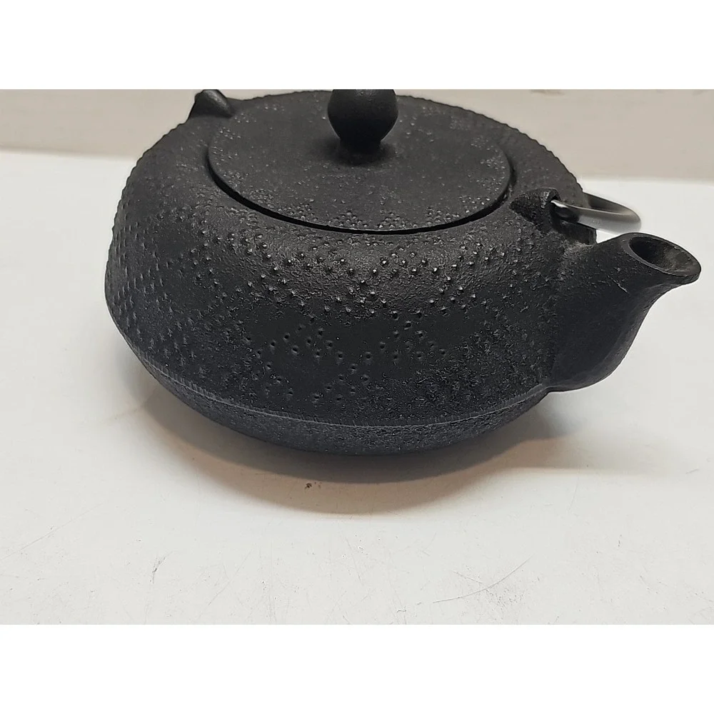 Iwachu Japanese Black Cast Iron Teapot with Lid Strainer Handle